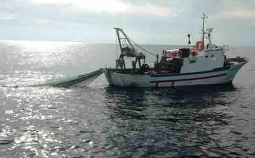 INTESA TRA REGIONE E FLAG PER SUPERARE L’EMERGENZA COVID19 NEL SETTORE ITTICO – BANDO PER LA FORMAZIONE
