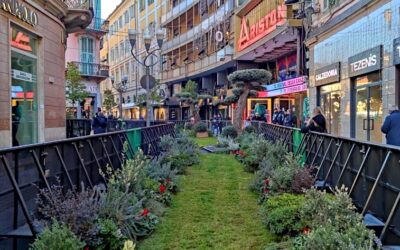Federfiori ringrazia Sanremo Piante per l’allestimento del Green Carpet