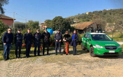 Confcommercio e Carabinieri per mettere a dimora gli Alberi di Natale dei commercianti