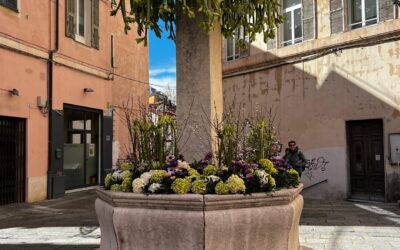 Comunicato Ringraziamenti Festival dei Fiori